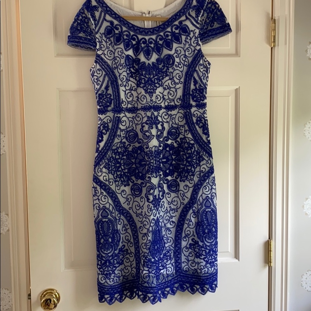 Yoana Baraschi blue/white embroidered dress.